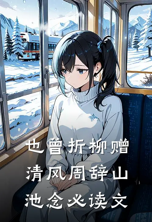 星光璀璨爽文