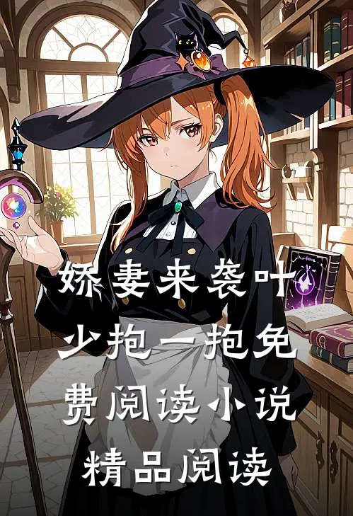 娇妻来袭叶少抱一抱免费阅读小说精品阅读