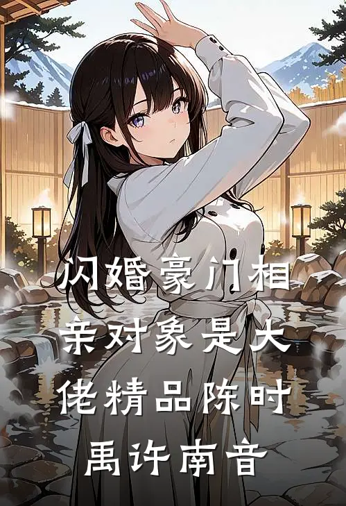 闪婚豪门相亲对象是大佬精品陈时禹许南音