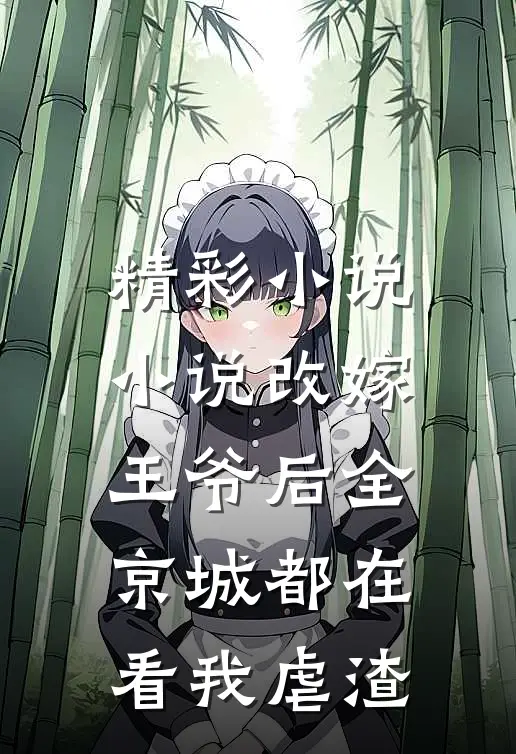 精彩小说小说改嫁王爷后全京城都在看我虐渣