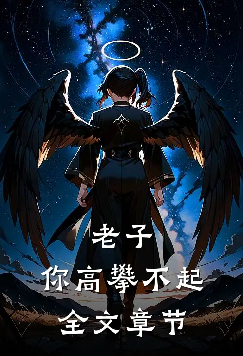 老子，你高攀不起全文章节