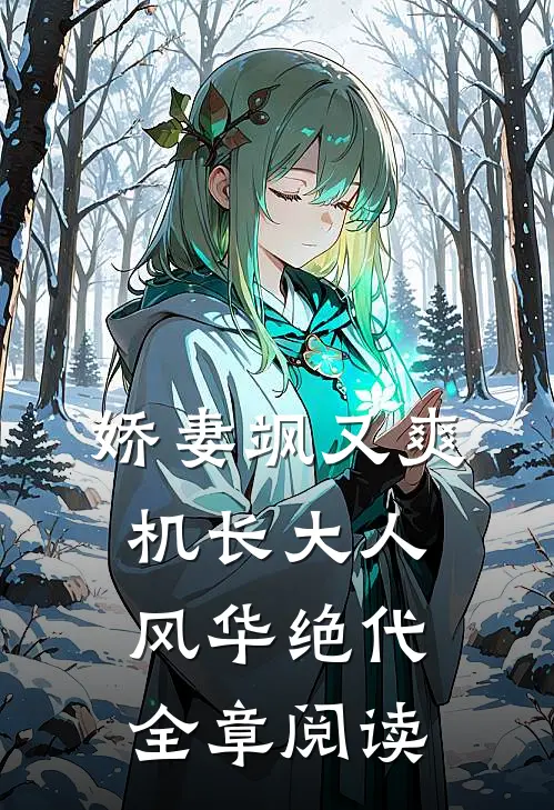娇妻飒又爽：机长大人风华绝代全章阅读