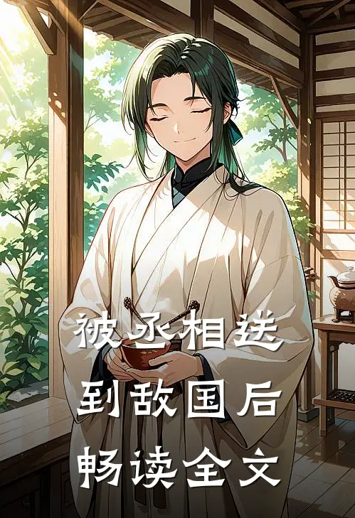 被丞相送到敌国后畅读全文
