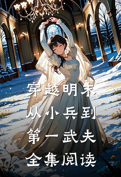穿越明末：从小兵到第一武夫全集阅读