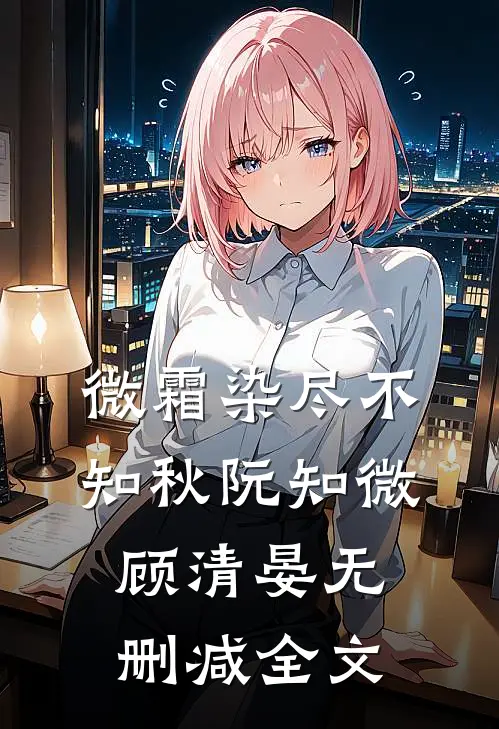 半是暖阳半是雪霜宁韵傅薄夜(番外)+(结局)