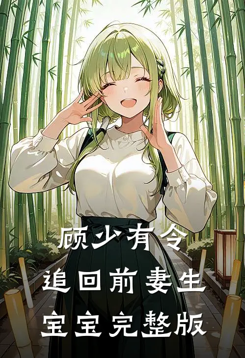 顾少有令：追回前妻生宝宝完整版