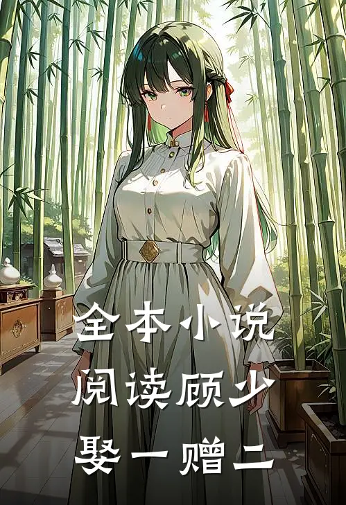 全本小说阅读顾少，娶一赠二