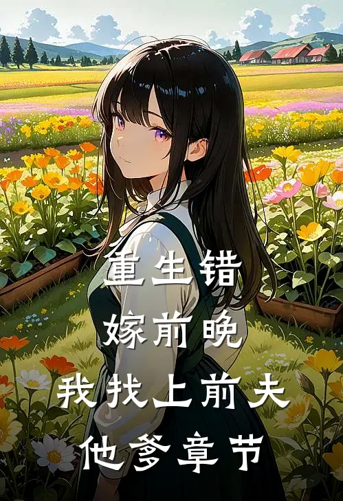 重生错嫁前晚，我找上前夫他爹章节