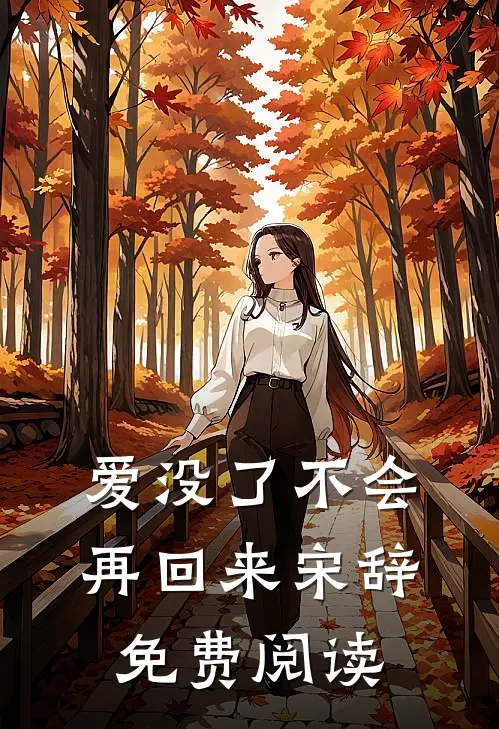 爱没了不会再回来宋辞免费阅读