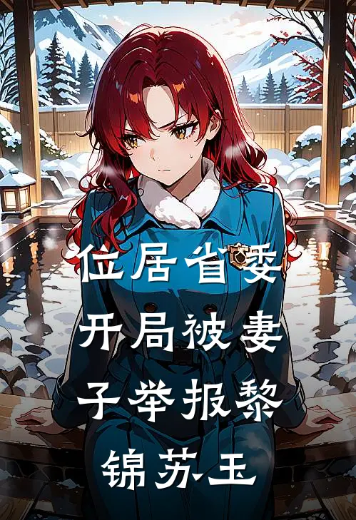 位居省委,开局被妻子举报黎锦苏玉