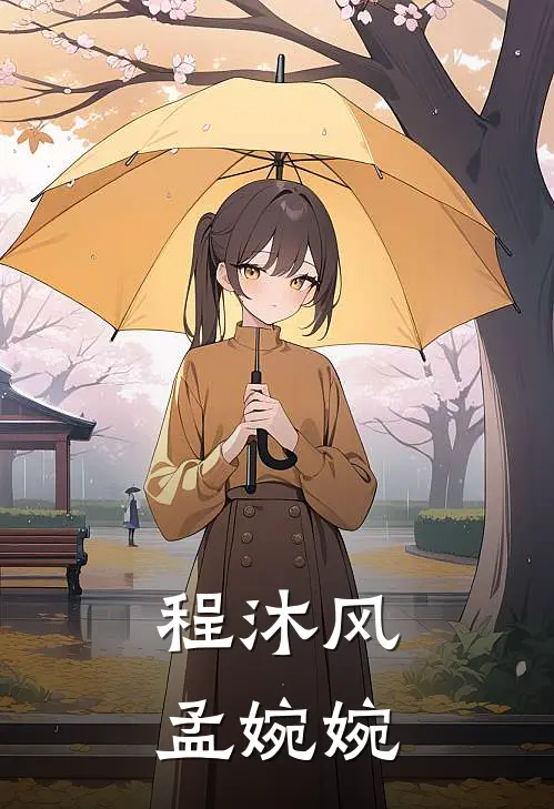 程沐风孟婉婉
