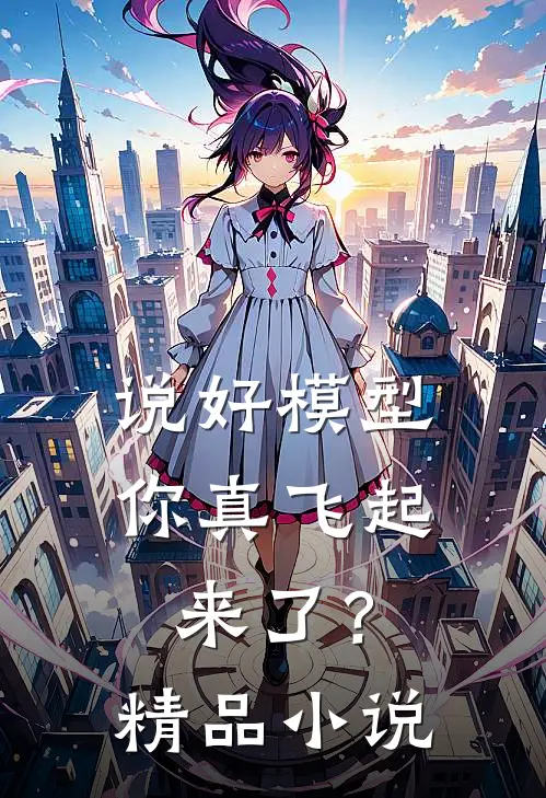 说好模型，你真飞起来了？精品小说