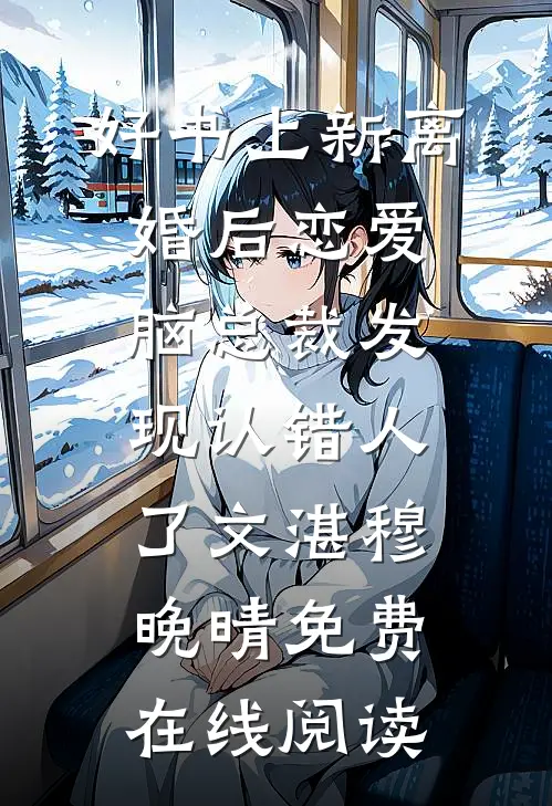 好书上新离婚后恋爱脑总裁发现认错人了(文湛穆晚晴)免费在线阅读