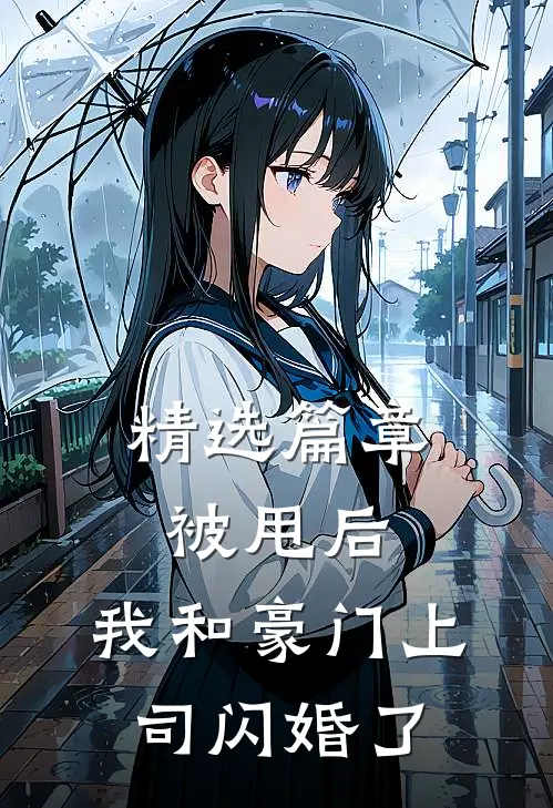 精选篇章被甩后，我和豪门上司闪婚了
