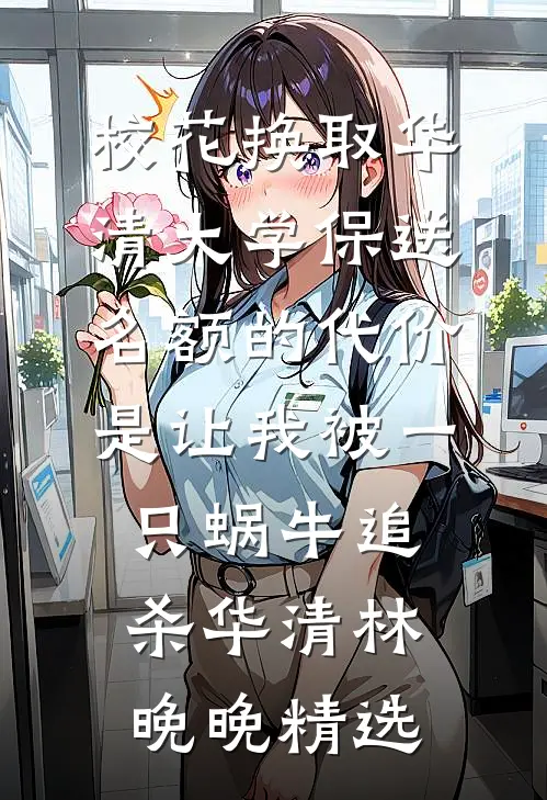 夜阑静听风雪声盛禾叶念琛小说结局