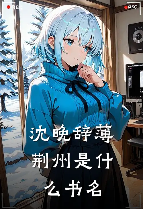 沈晚辞薄荆州是什么书名