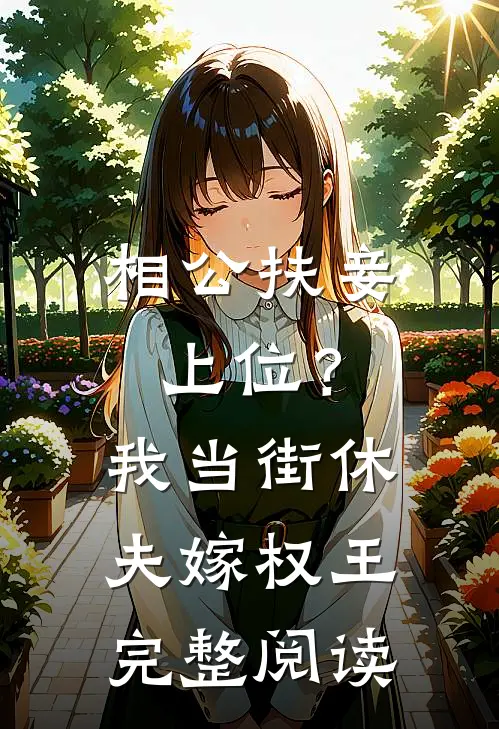 相公扶妾上位？我当街休夫嫁权王完整阅读