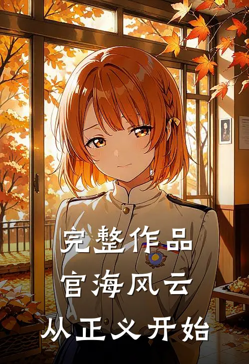 完整作品官海风云：从正义开始