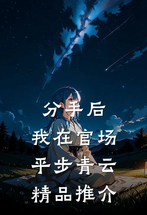 分手后，我在官场平步青云精品推介
