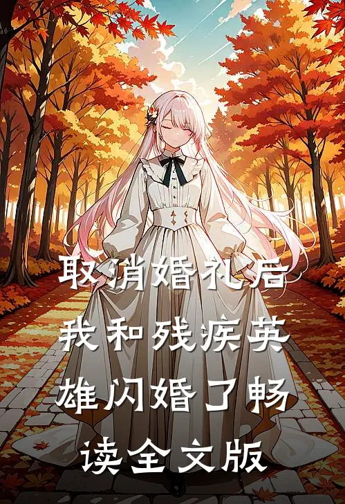 取消婚礼后，我和残疾英雄闪婚了畅读全文版