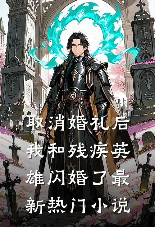 取消婚礼后，我和残疾英雄闪婚了最新热门小说