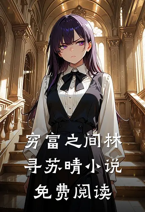 穷富之间林寻苏晴小说免费阅读