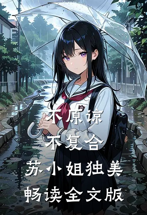 不原谅，不复合，苏小姐独美畅读全文版