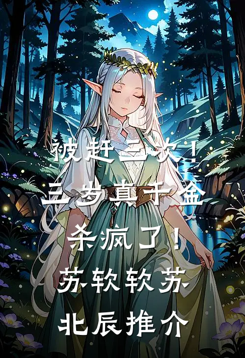 为见孩子进王府前言+后续