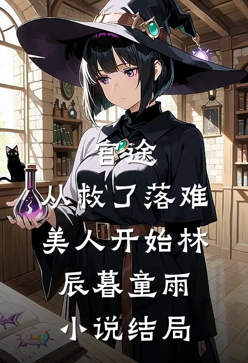 官途：从救了落难美人开始林辰暮童雨小说结局