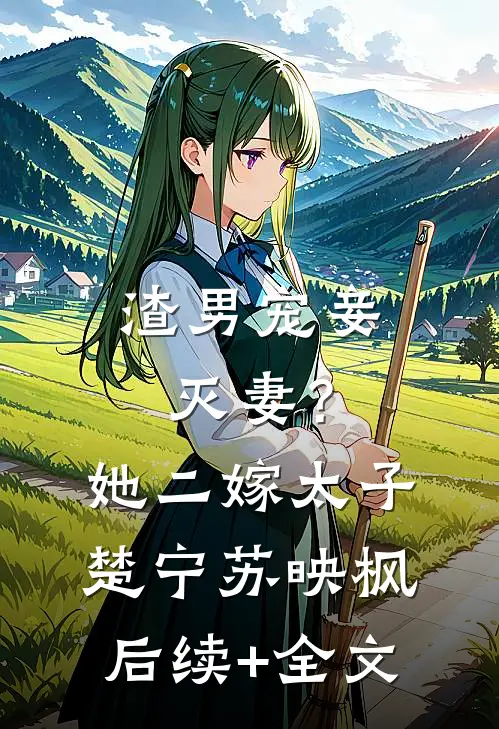 渣男宠妾灭妻？她二嫁太子楚宁苏映枫后续+全文
