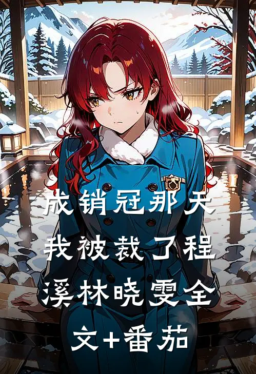 成销冠那天我被裁了程溪林晓雯全文+番茄