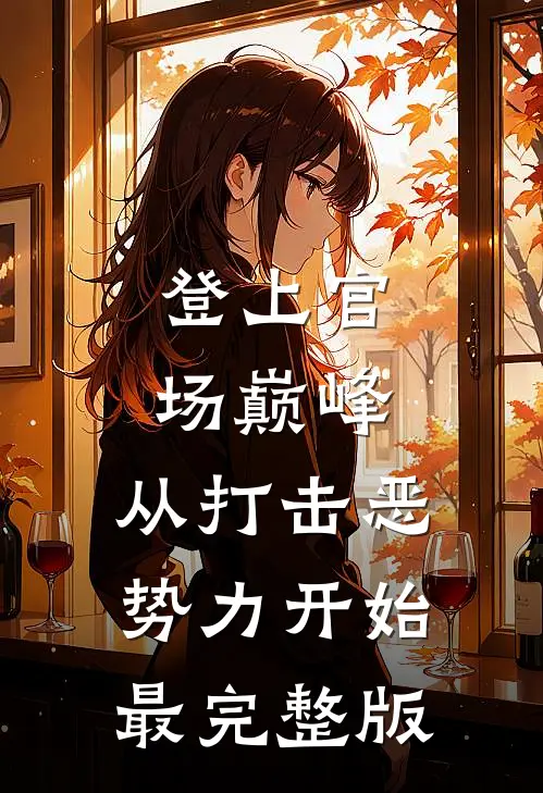 登上官场巅峰，从打击恶势力开始最完整版