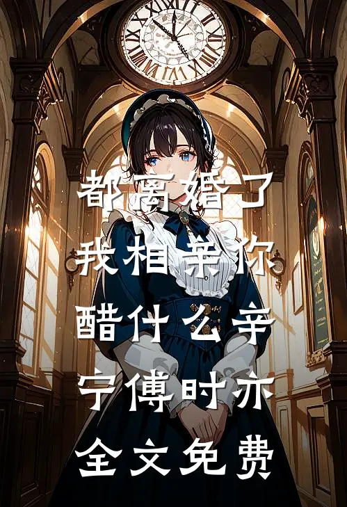 都离婚了，我相亲你醋什么辛宁傅时亦全文免费