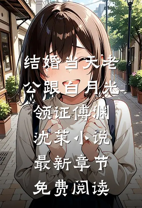 结婚当天老公跟白月光领证傅渊沈茉小说最新章节免费阅读
