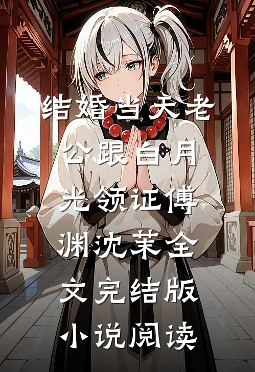 结婚当天老公跟白月光领证傅渊沈茉全文完结版小说阅读