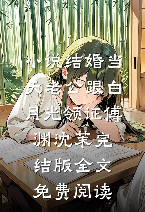 小说结婚当天老公跟白月光领证傅渊沈茉完结版全文免费阅读