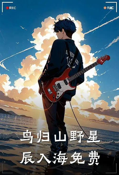 鸟归山野星辰入海免费