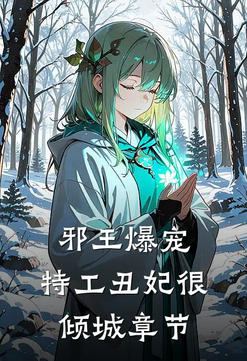 邪王爆宠：特工丑妃很倾城章节