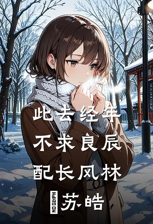此去经年：不求良辰配长风林玥苏皓