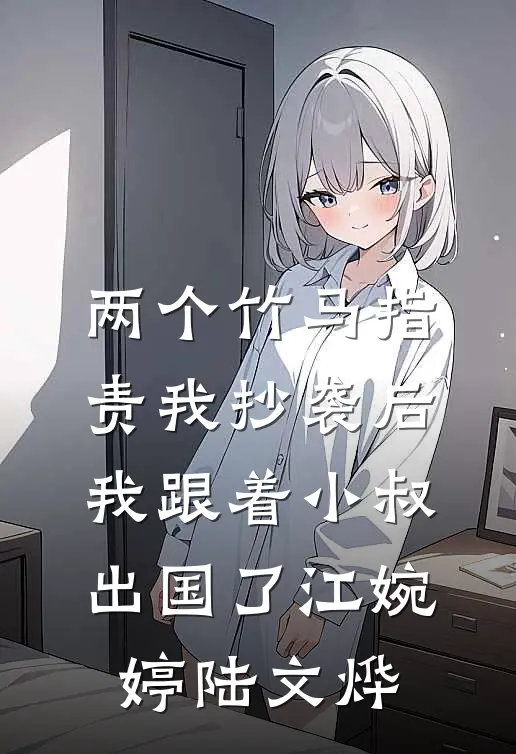 两个竹马指责我抄袭后，我跟着小叔出国了江婉婷陆文烨