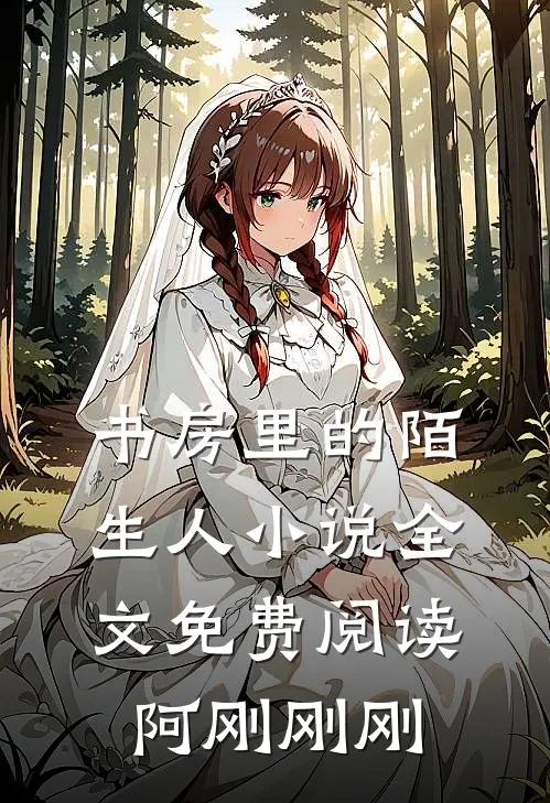 书房里的陌生人小说全文免费阅读阿刚刚刚