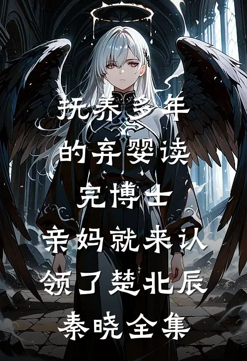 抚养多年的弃婴读完博士，亲妈就来认领了楚北辰秦晓全集
