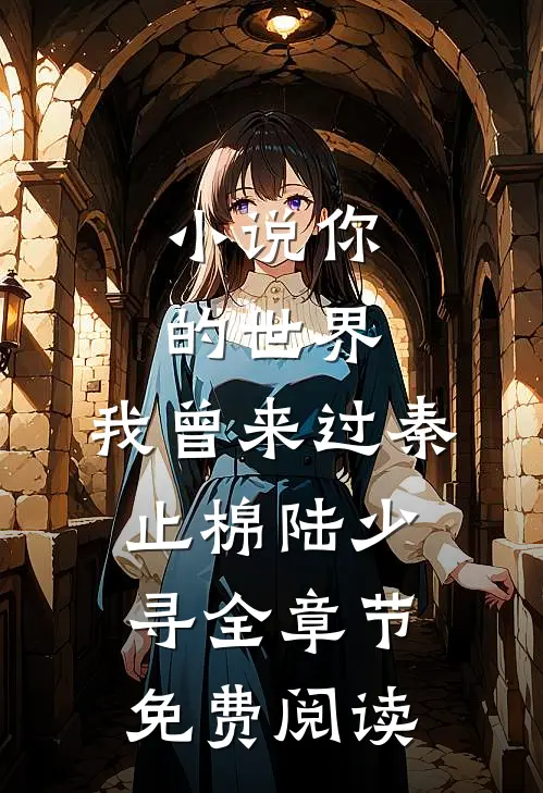 小说你的世界，我曾来过秦止棉陆少寻全章节免费阅读