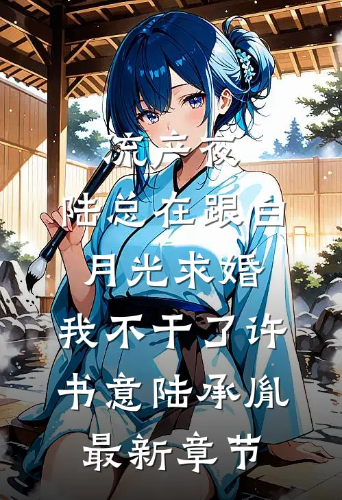 流产夜，陆总在跟白月光求婚，我不干了许书意陆承胤最新章节