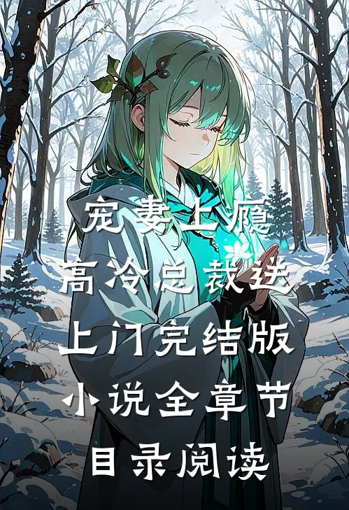 宠妻上瘾，高冷总裁送上门完结版小说全章节目录阅读