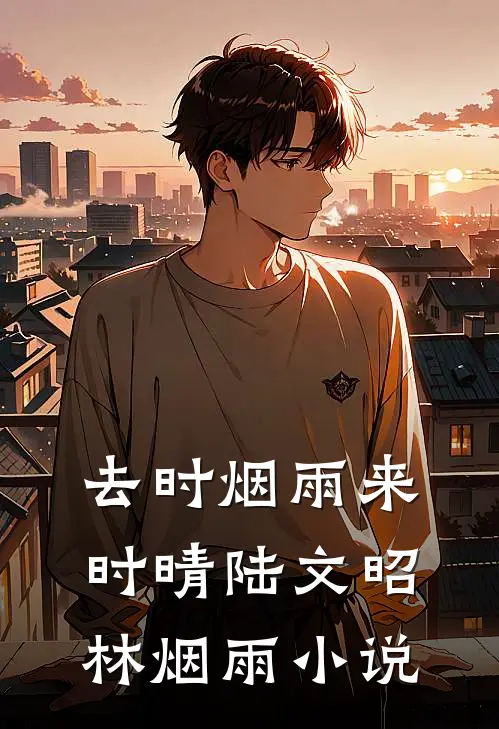 去时烟雨来时晴陆文昭林烟雨小说