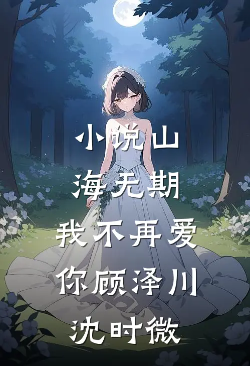 小说山海无期，我不再爱你(顾泽川沈时微)