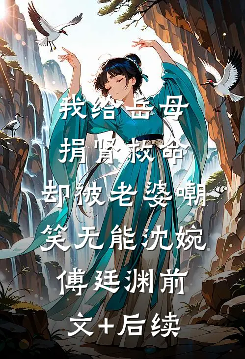 我给岳母捐肾救命，却被老婆嘲笑无能沈婉傅廷渊前文+后续