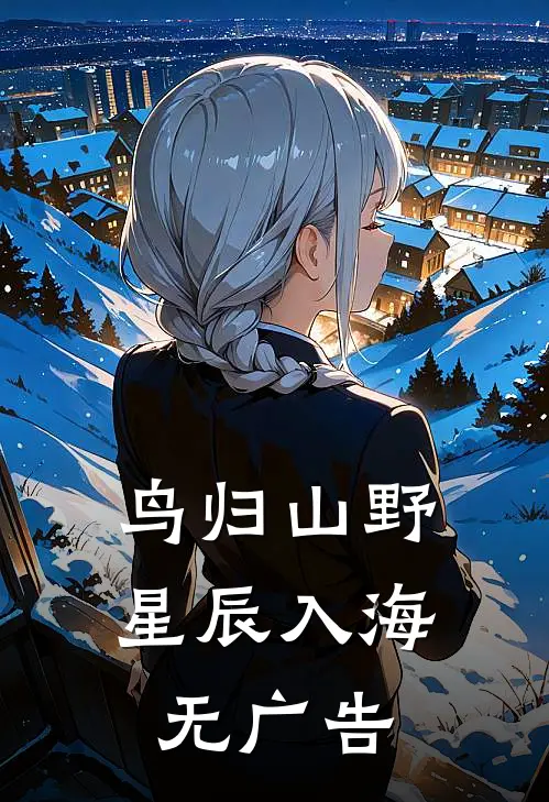 鸟归山野星辰入海无广告