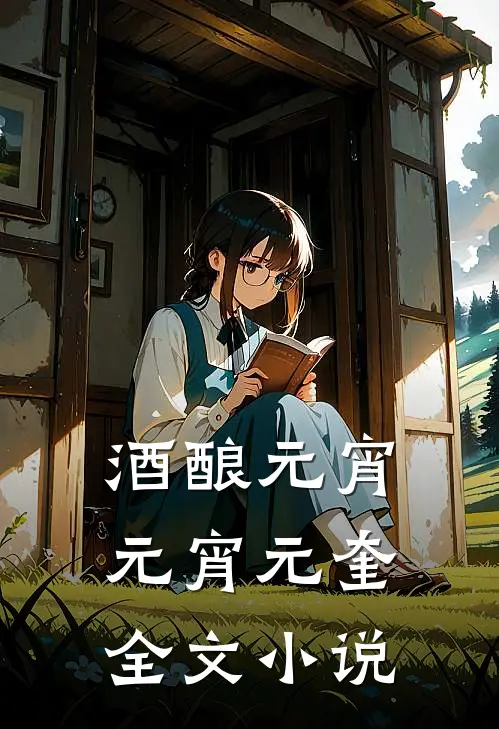 酒酿元宵元宵元奎全文小说